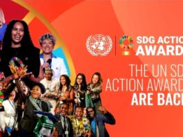 UN SDG Action Awards 2024